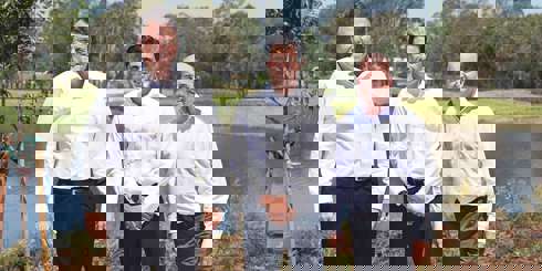 Article Img