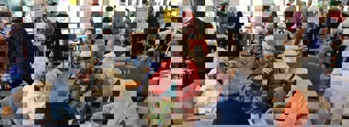 Article Img